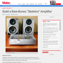 Skeleton Amplifier Guide